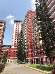 Blk 271 Choa Chu Kang Avenue 2 (Choa Chu Kang), HDB Executive #169371942